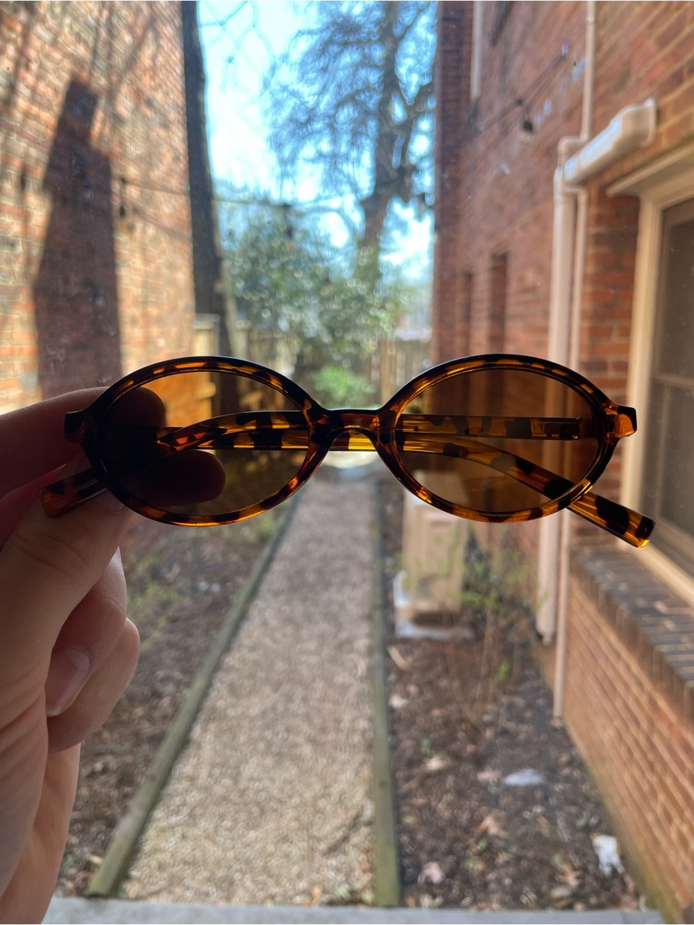 chic tortoiseshell oval sunglasses - brown lenses